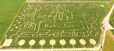 2016bobscornmaze